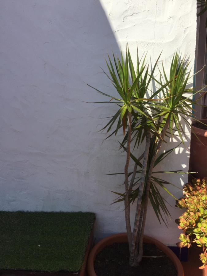 Vila Fidalgo Apartment Nazare Luaran gambar
